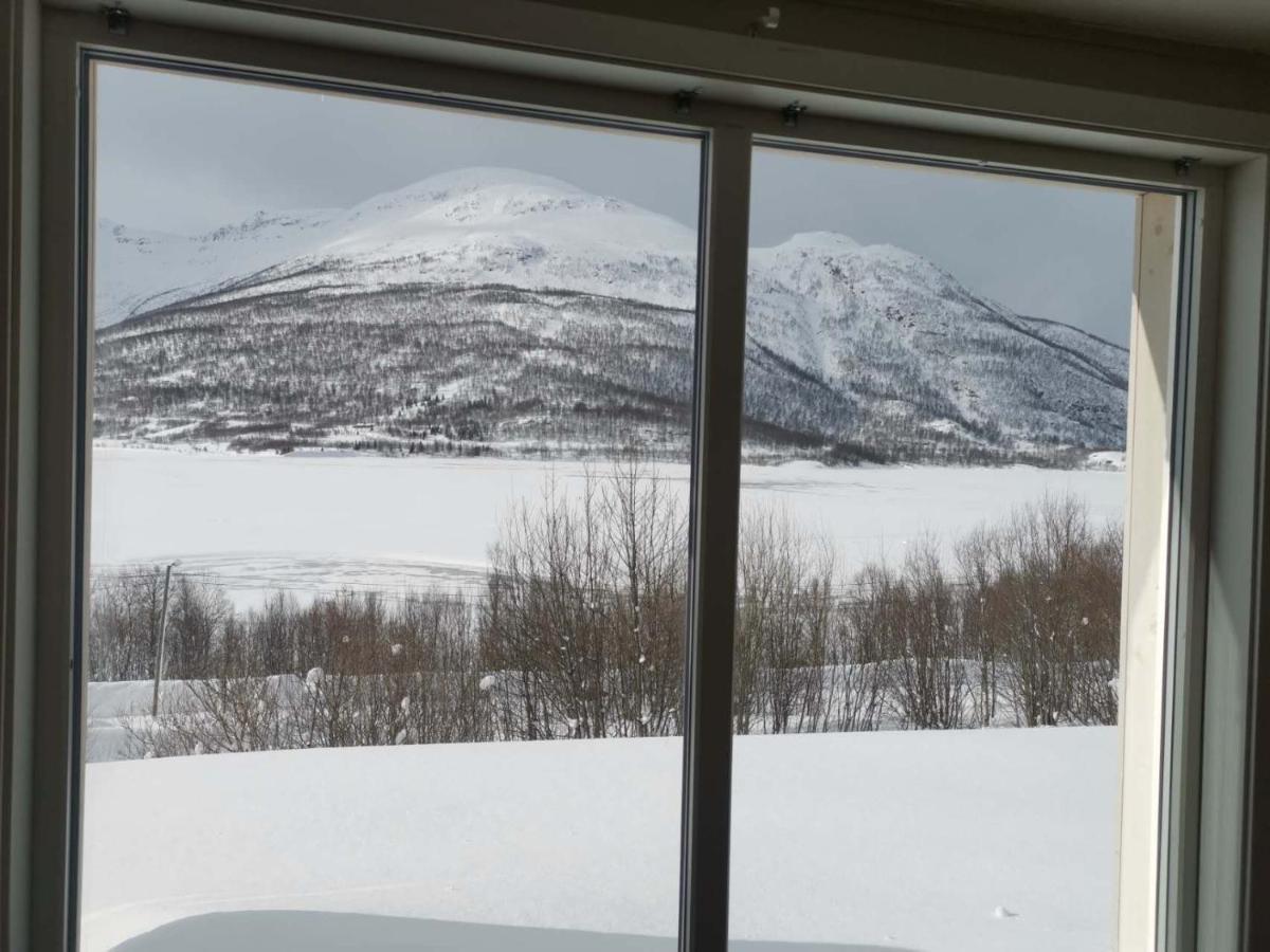 极光民宿northern Lights Lodge Laksvatn